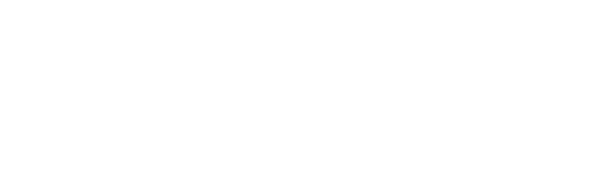 Level Automotive